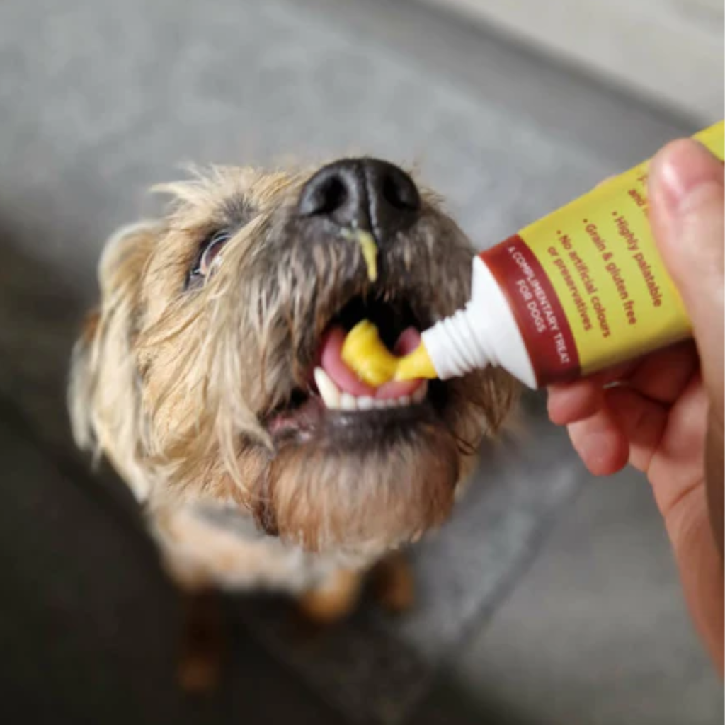 JR Pet Products Premium Cheese Paste - 75g