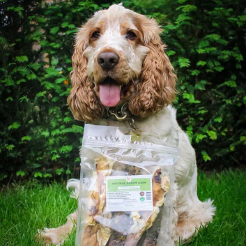 JR Pet Products Rabbit Ears with Hair - 100g