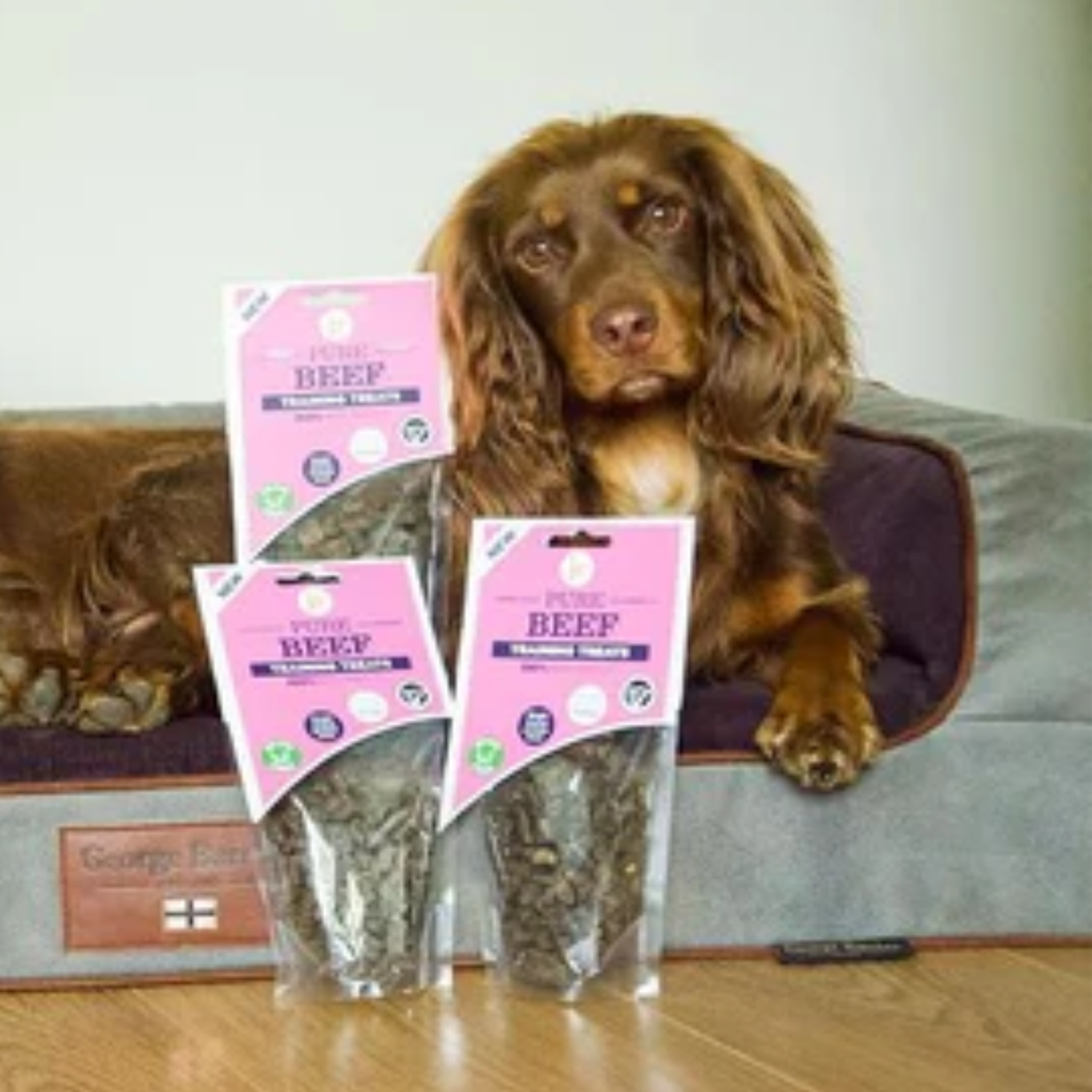 JR Pet Products Pure Beef Training Treat - 85g