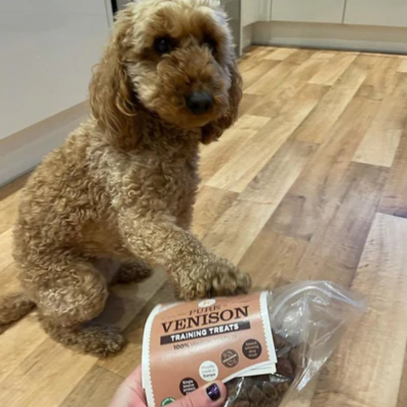 JR Pet Products Pure Training Treats 85g - Venison