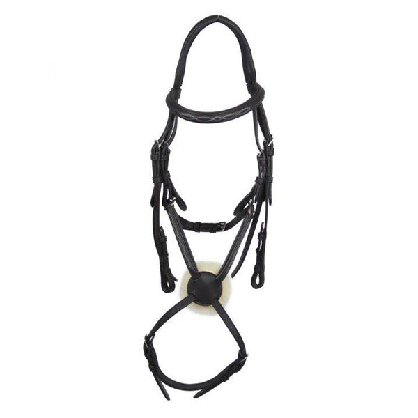 EcoRider Galway Grackle Bridle - Black