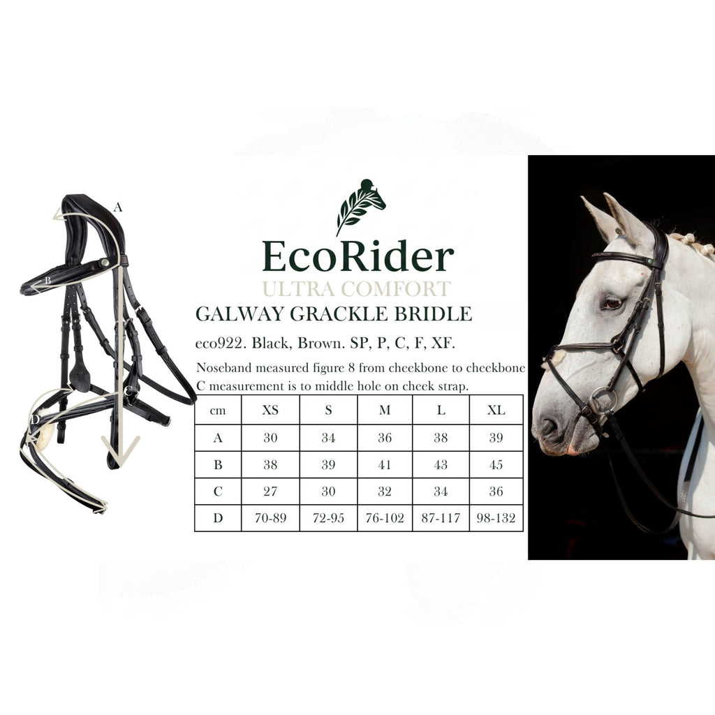 EcoRider Galway Grackle Bridle - Black