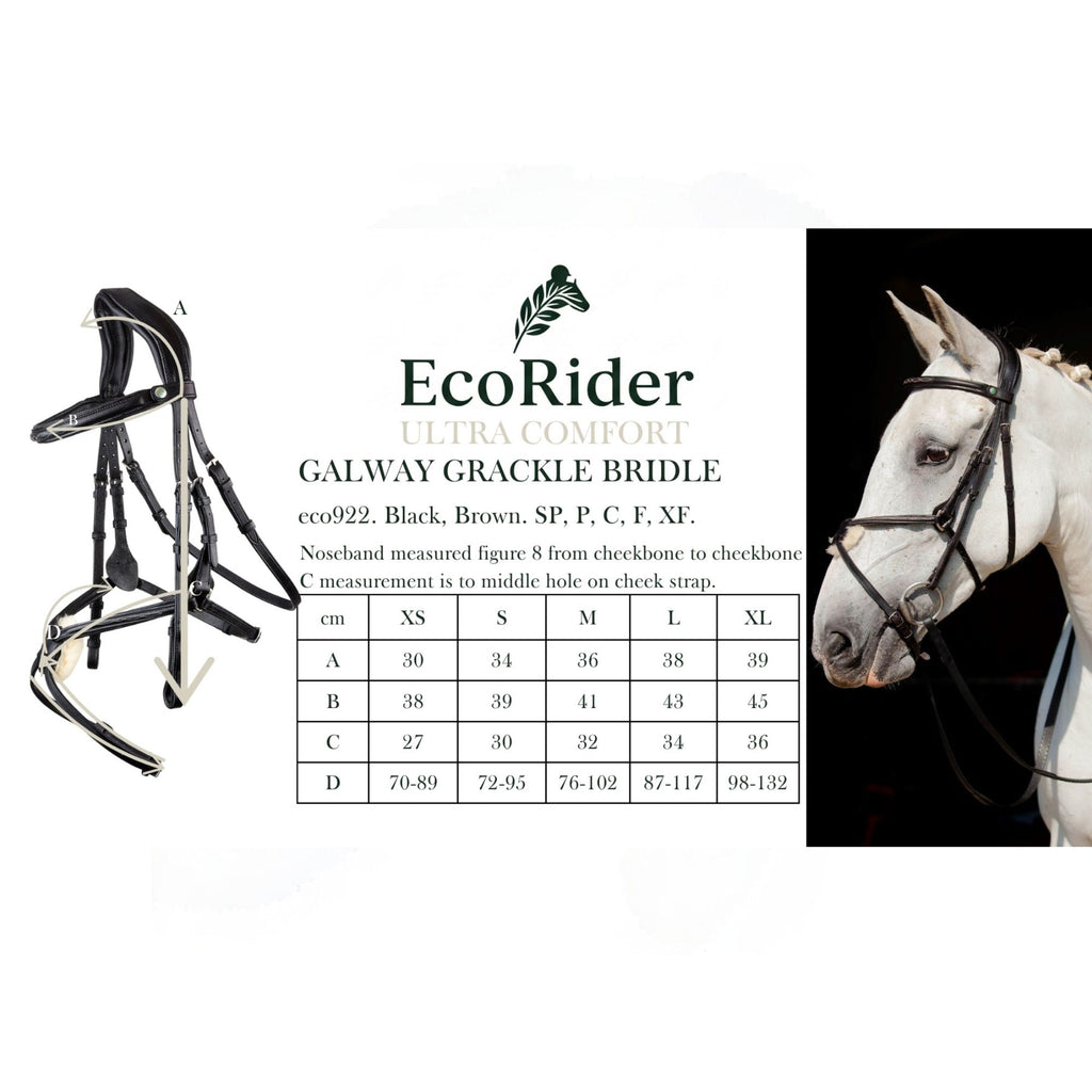 EcoRider Galway Grackle Bridle - Brown