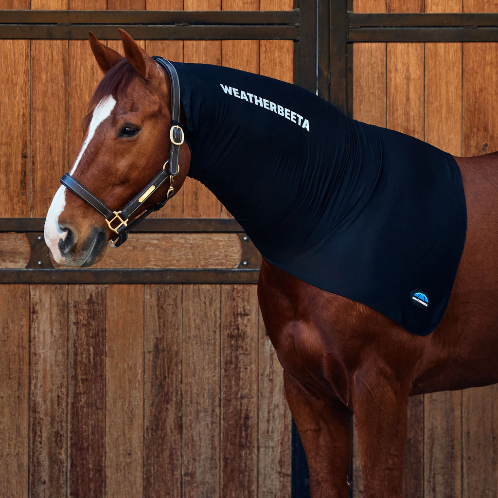 WeatherBeeta Stretch Neck Rug - Black