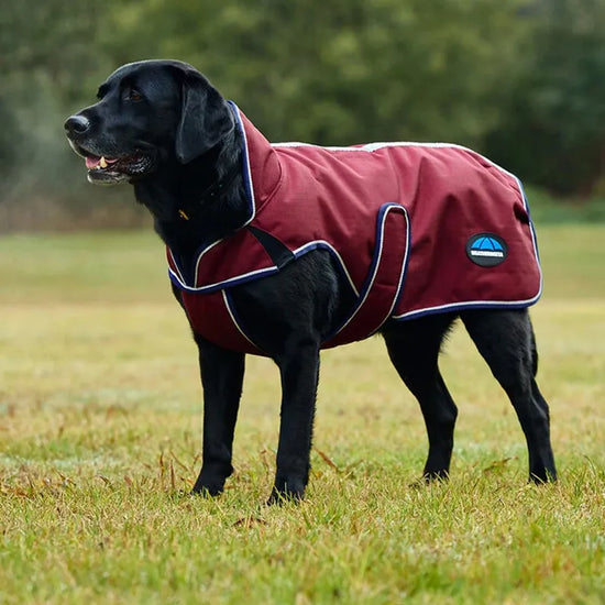 WeatherBeeta ComFiTec Premier Deluxe Waterproof Dog Coat - Burgundy/Navy