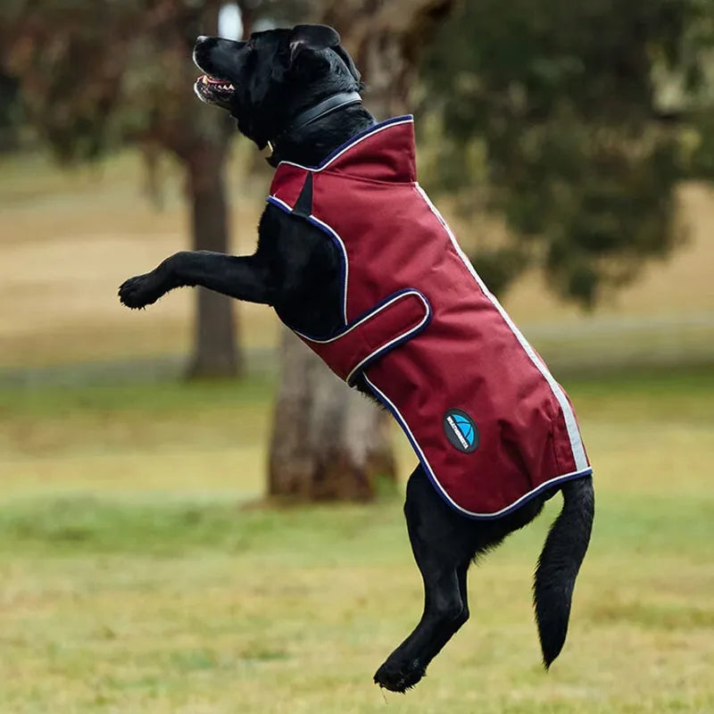 WeatherBeeta ComFiTec Premier Deluxe Waterproof Dog Coat - Burgundy/Navy