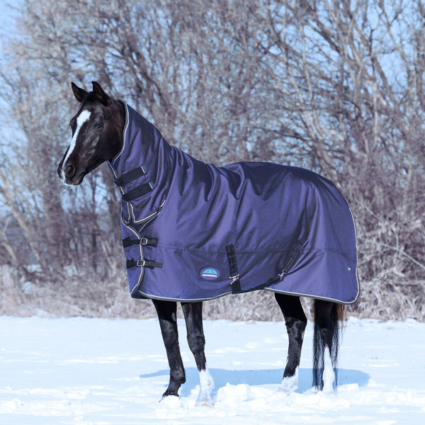 Weatherbeeta Comfitec Tyro Turnout Combo 220g - Navy/Charcoal