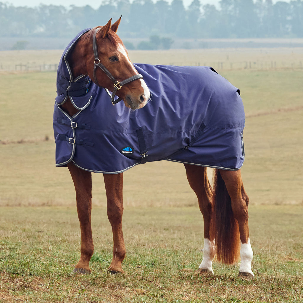 Weatherbeeta Comfitec Tyro Turnout Combo 50g - Navy/Charcoal