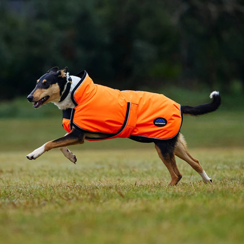 WeatherBeeta ComFiTec Reflective 300D Deluxe Showerproof Dog Coat - Orange