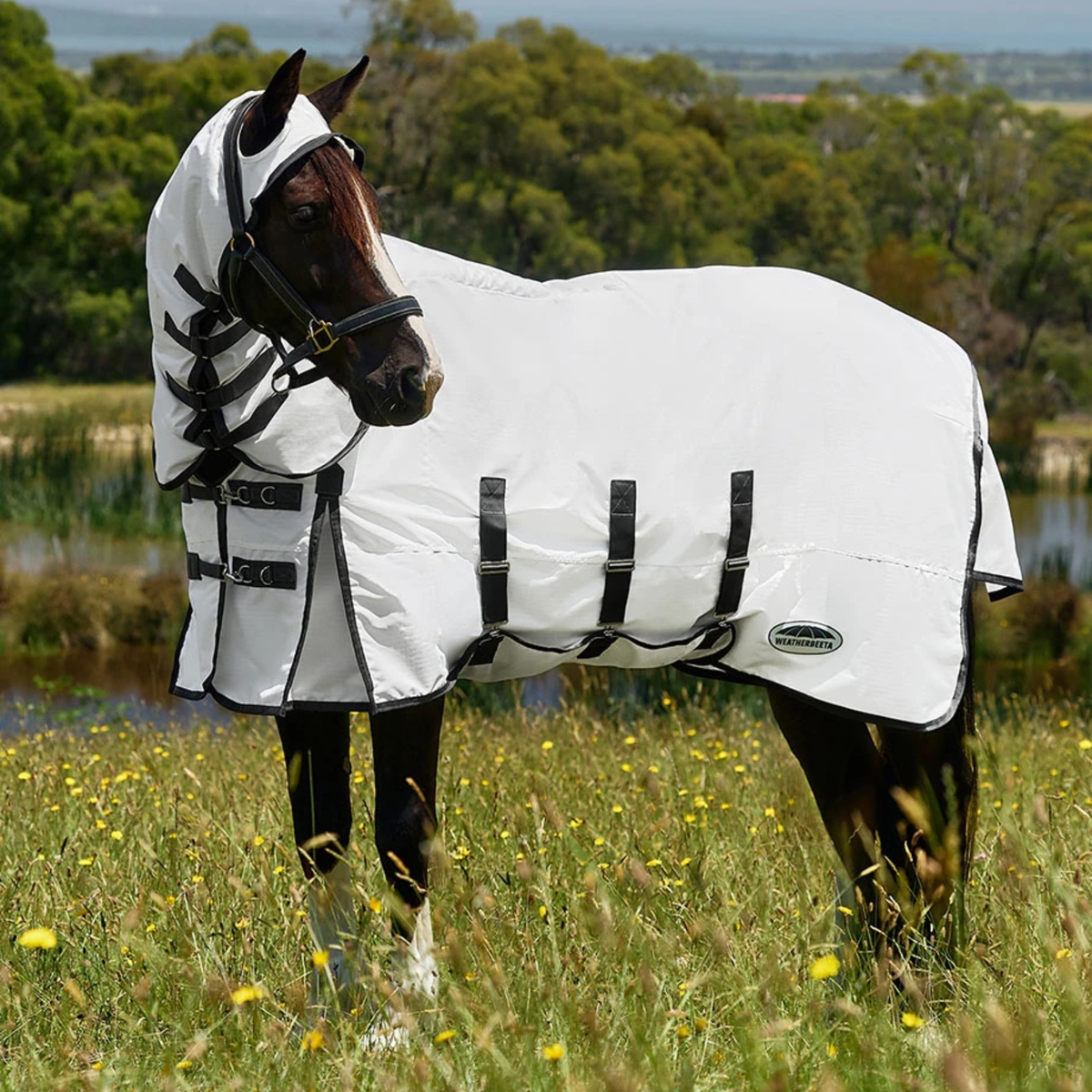 Fly Rug Weatherbeeta Weatherbeeta Comfitec Sweet Itch Shield Fly Rug Sheet Combo - White ...