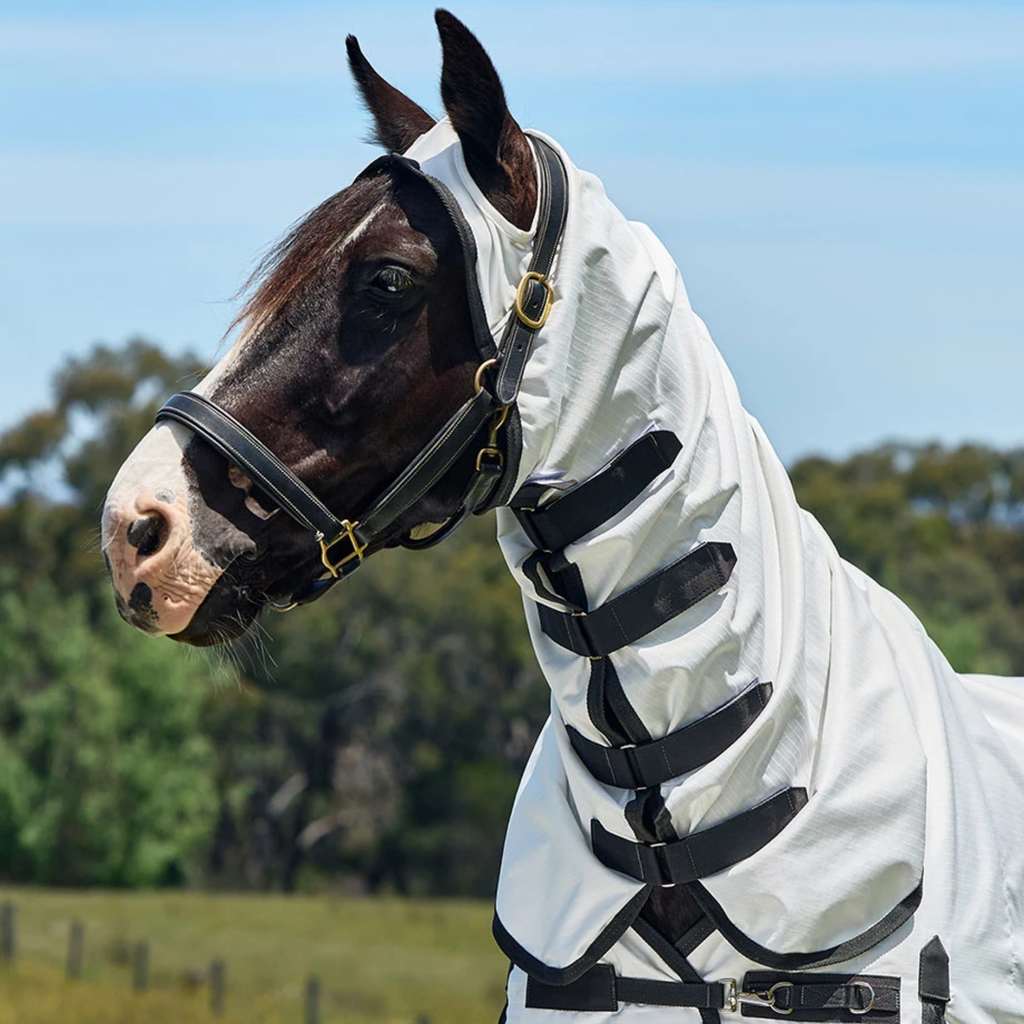Weatherbeeta Comfitec Sweet Itch Shield Fly Rug Sheet Combo - White/Charcoal