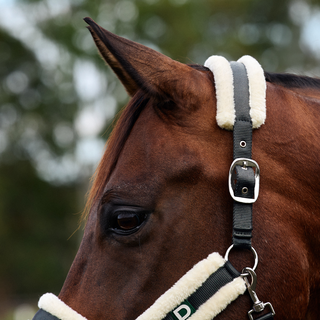 Dublin Soft Fit Headcollar - Grey