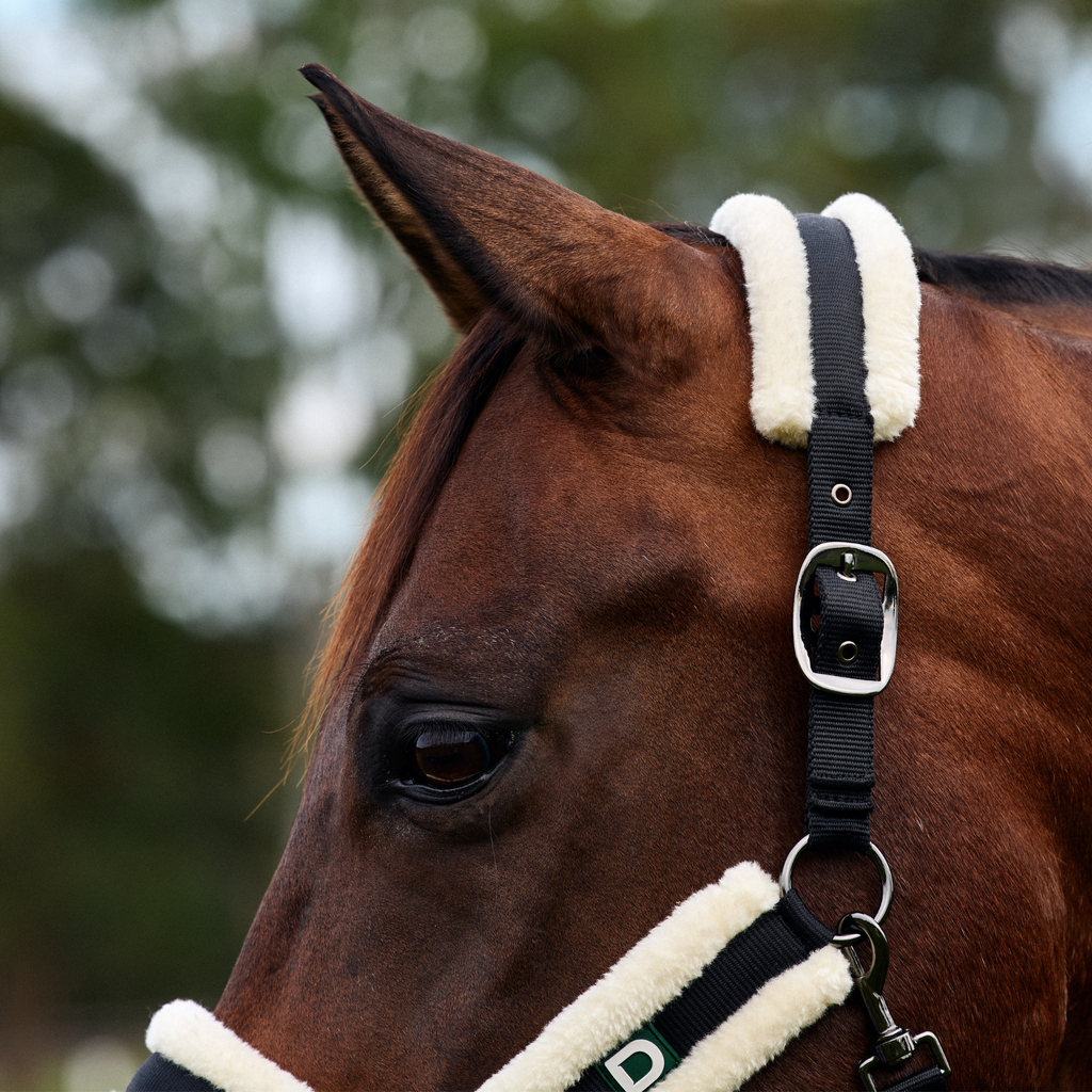 Dublin Soft Fit Headcollar - Black