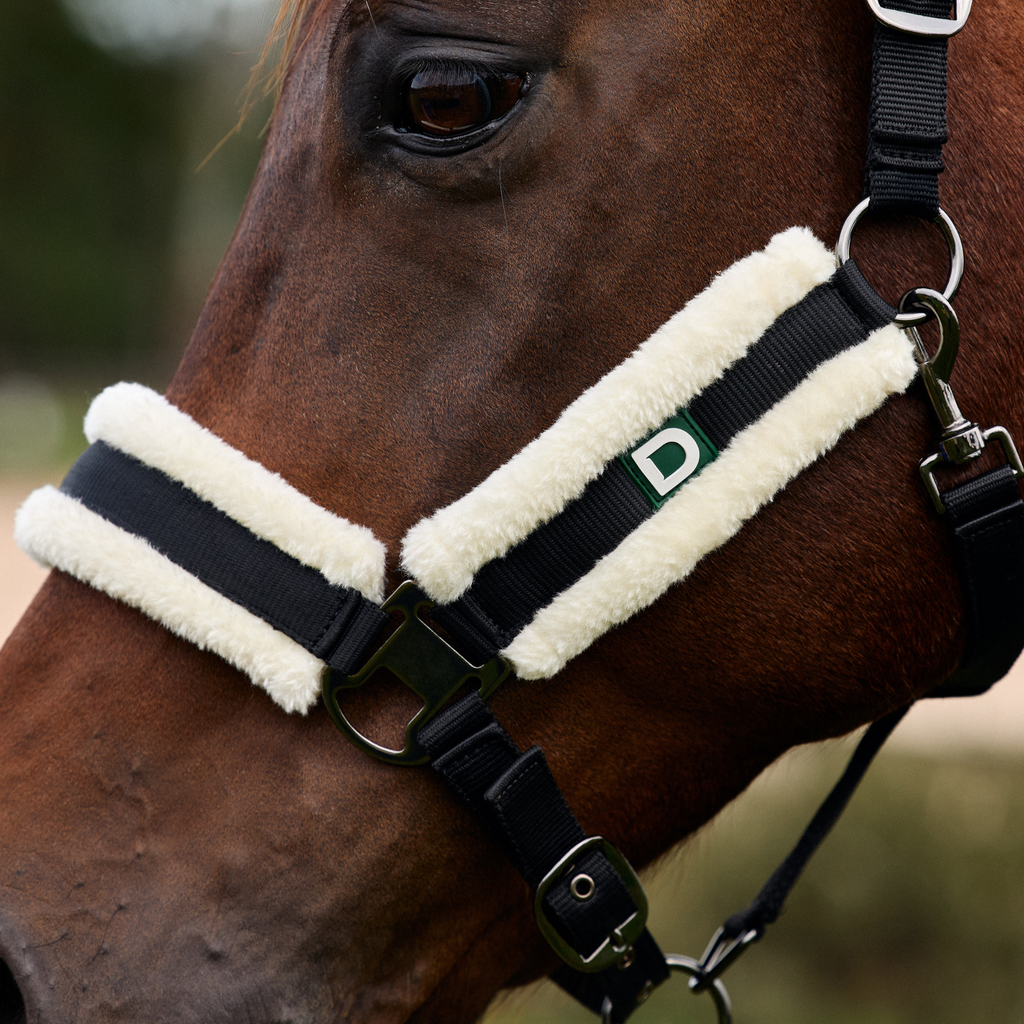 Dublin Soft Fit Headcollar - Black