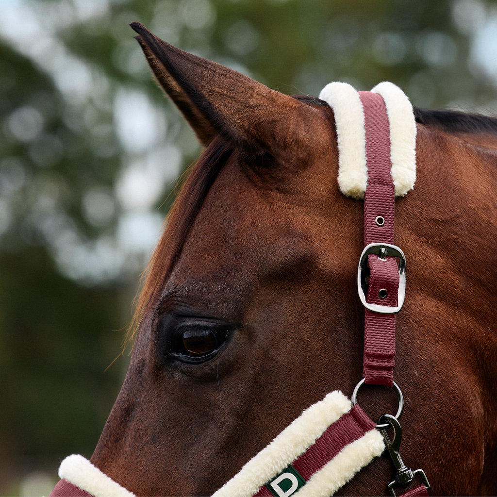 Dublin Soft Fit Headcollar - Burgundy