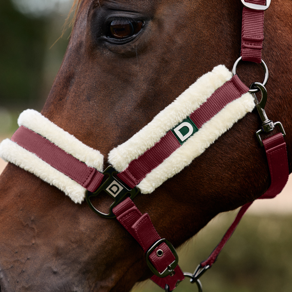 Dublin Soft Fit Headcollar - Burgundy