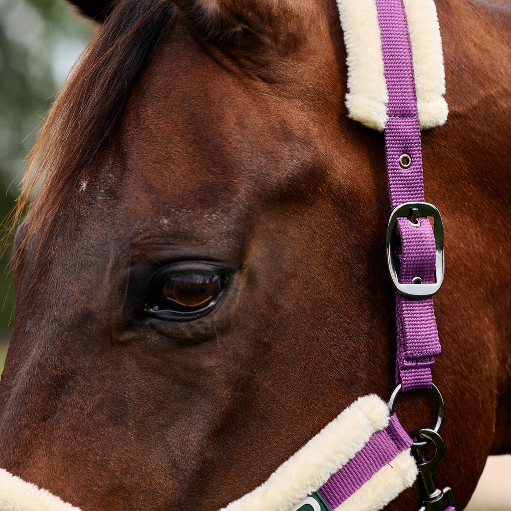Dublin Soft Fit Headcollar - Dark Purple