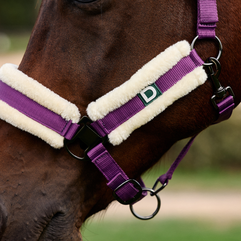 Dublin Soft Fit Headcollar - Dark Purple