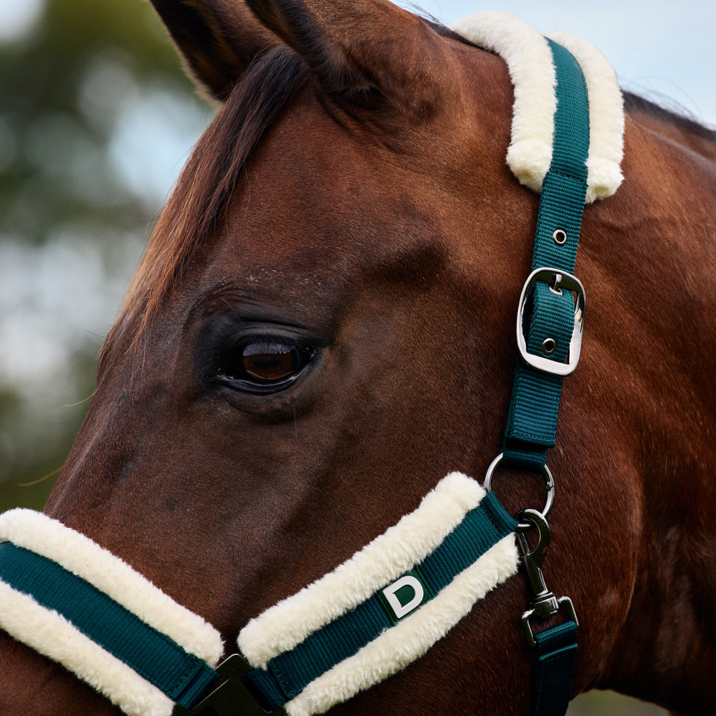 Dublin Soft Fit Headcollar - Green