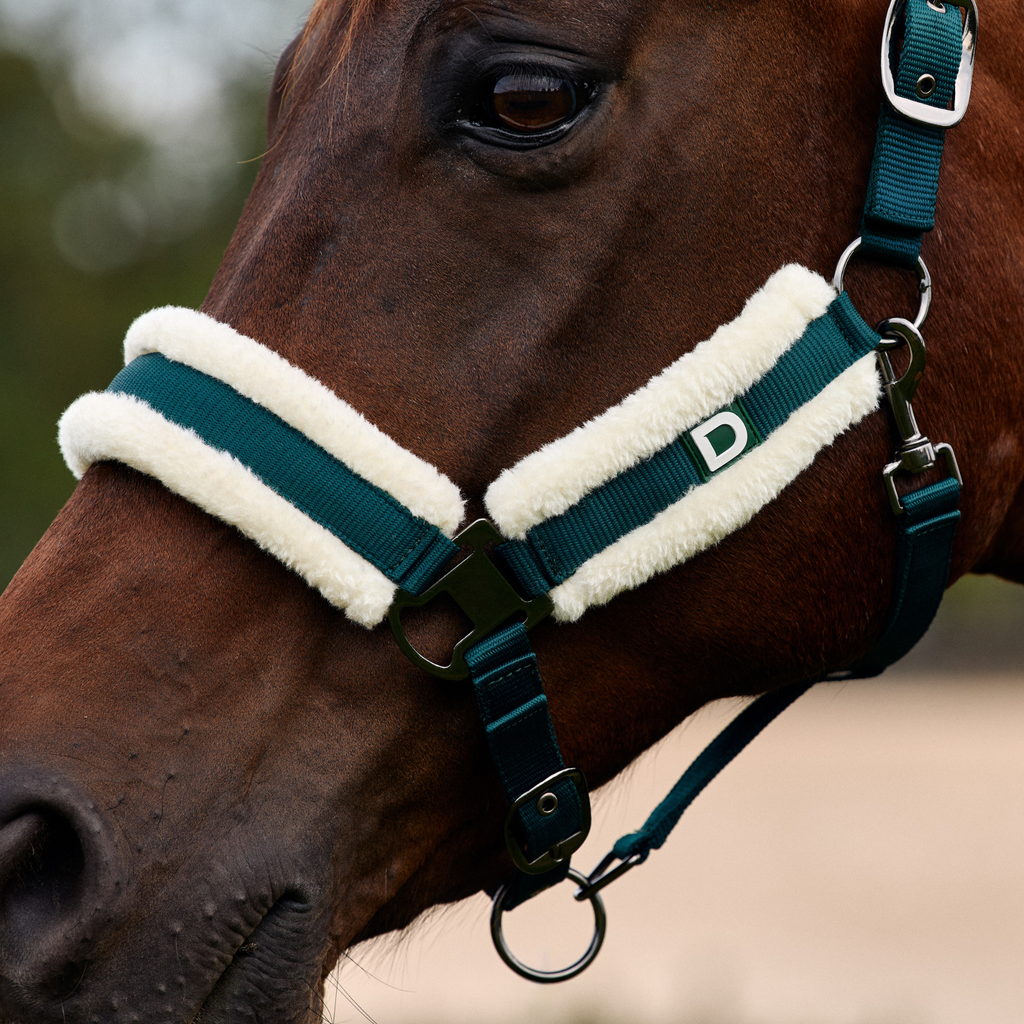 Dublin Soft Fit Headcollar - Green