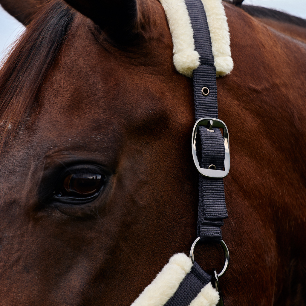 Dublin Soft Fit Headcollar - Navy