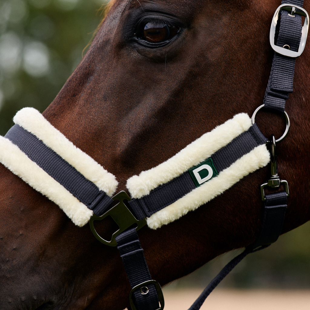 Dublin Soft Fit Headcollar - Navy