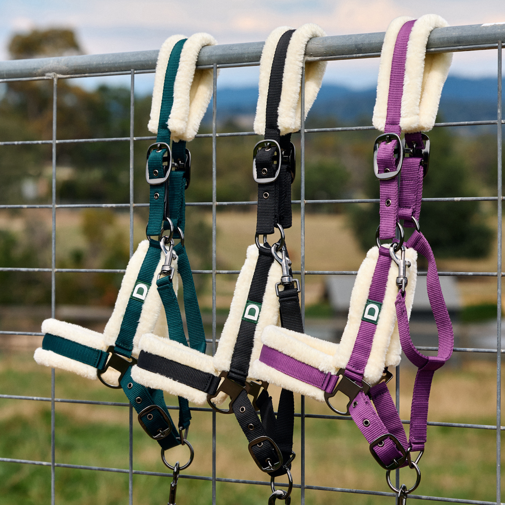 Dublin Soft Fit Headcollar - Dark Purple