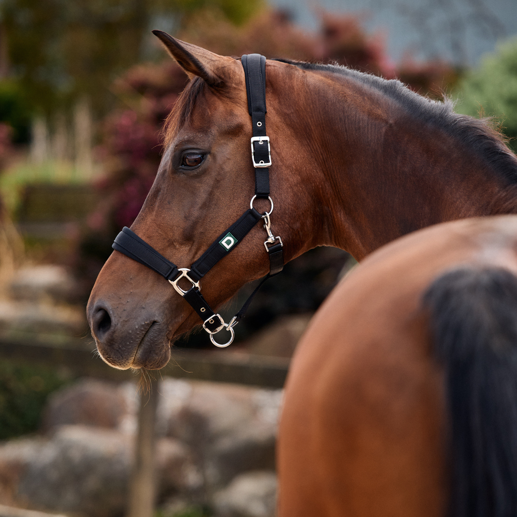Dublin Neo Comfort Headcollar - Black