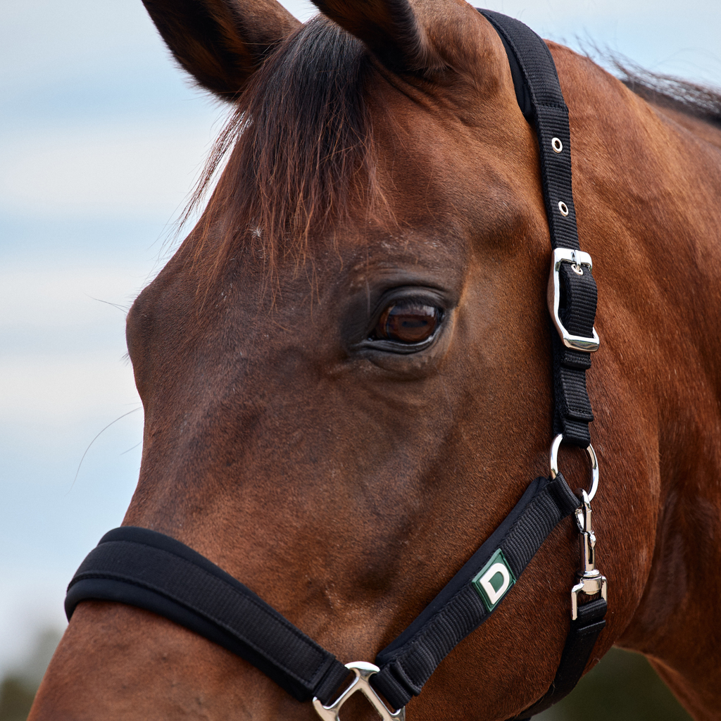 Dublin Neo Comfort Headcollar - Black