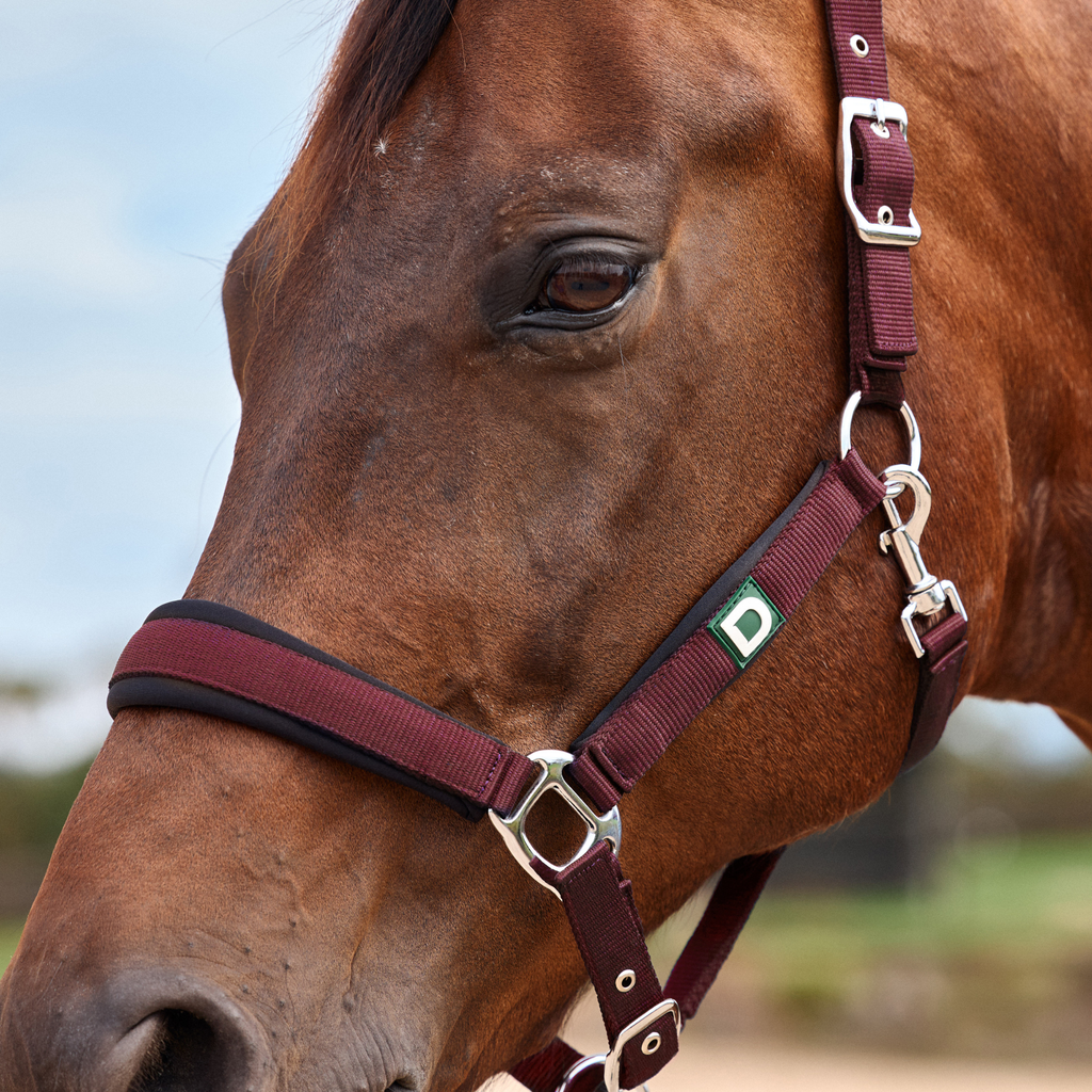 Dublin Neo Comfort Headcollar - Burgundy