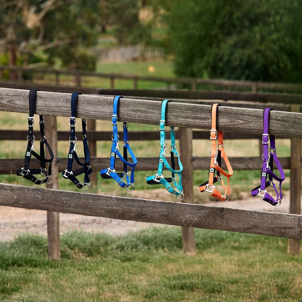 Dublin Neo Comfort Headcollar - Navy