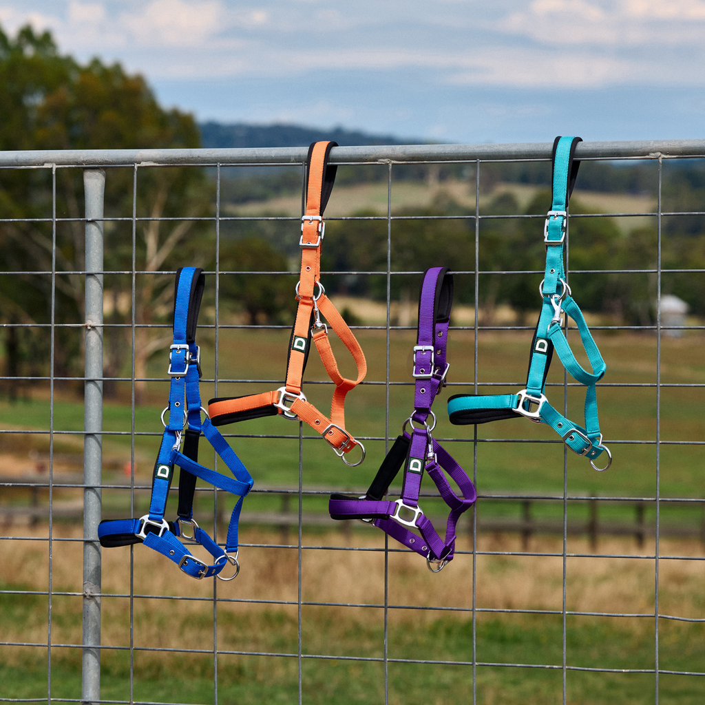 Dublin Neo Comfort Headcollar - Purple