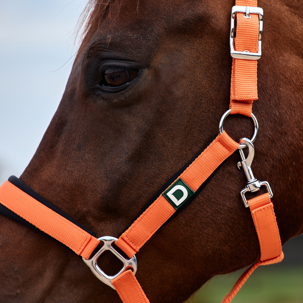 Dublin Neo Comfort Headcollar - Orange