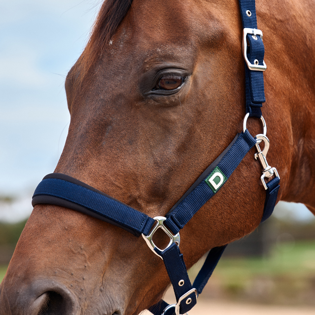 Dublin Neo Comfort Headcollar - Navy