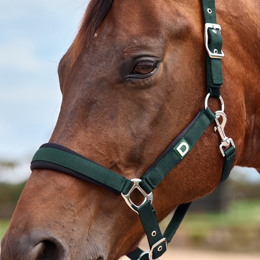 Dublin Neo Comfort Headcollar - Green/Black