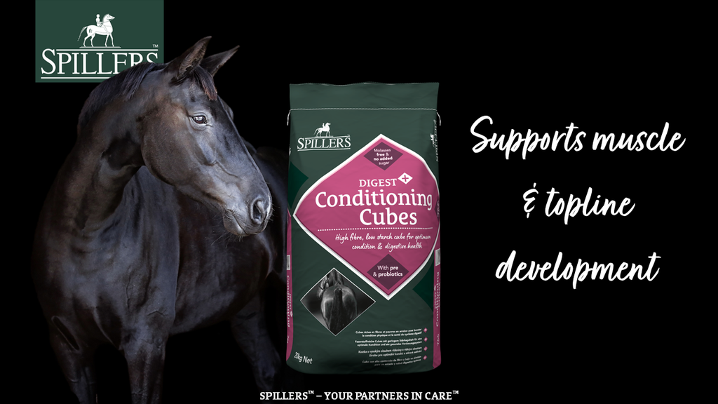 Spillers Digest+ Conditioning Cubes - 20kg