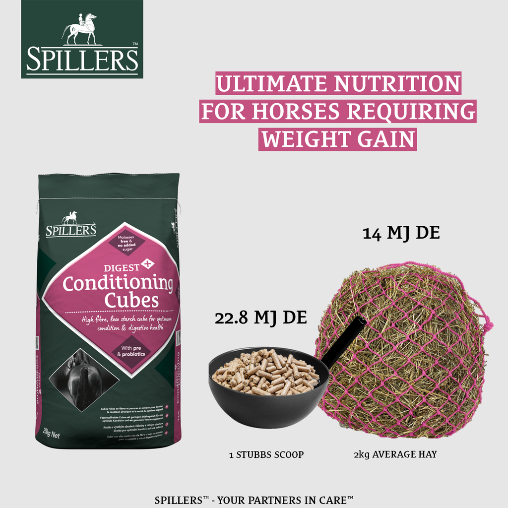 Spillers Digest+ Conditioning Cubes - 20kg