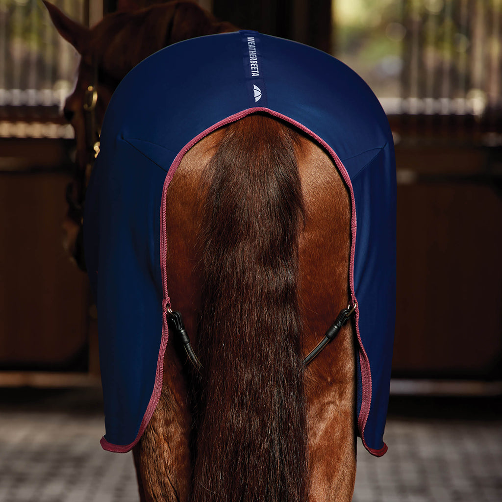 Weatherbeeta Regal Show Sheet - Navy/Burgundy