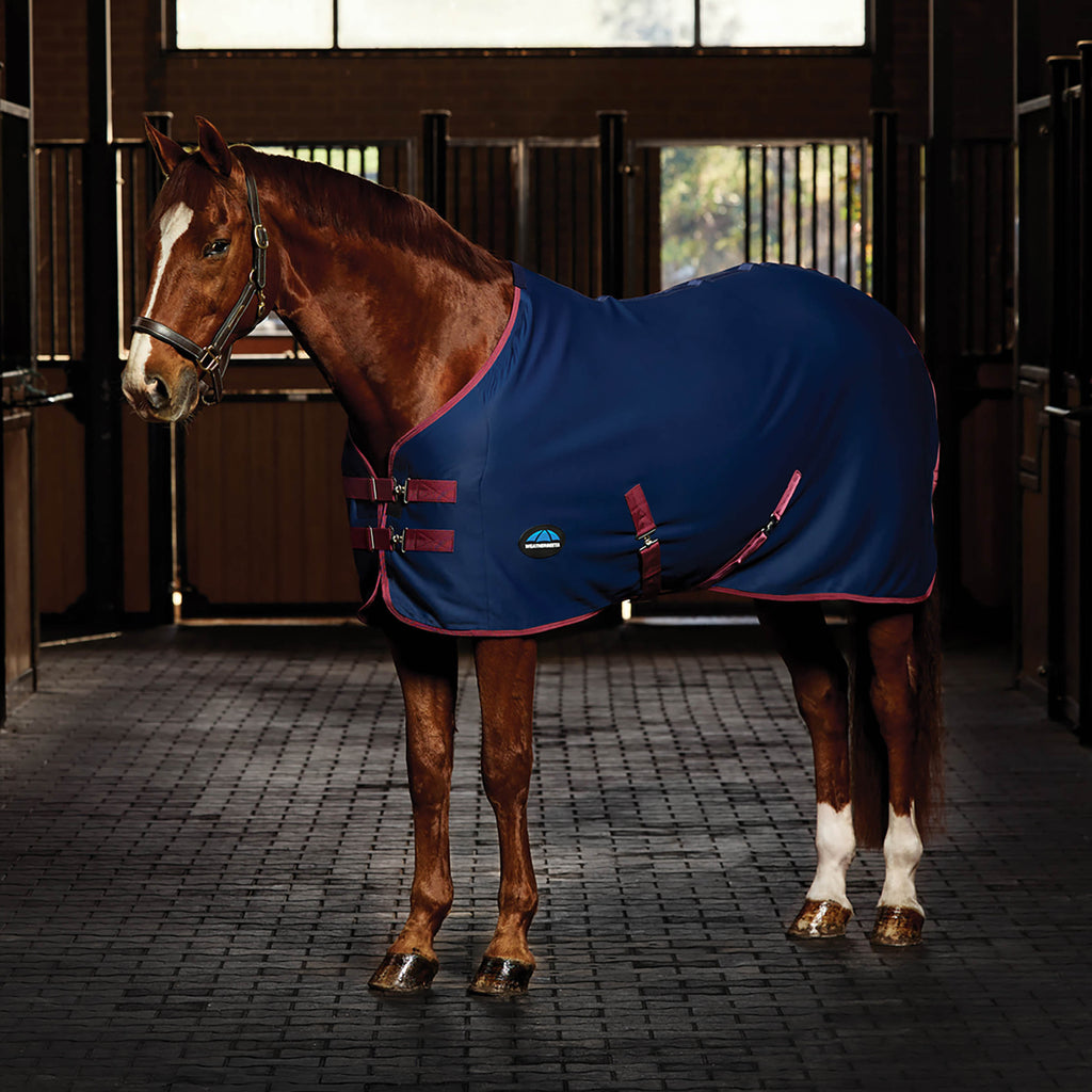 Weatherbeeta Regal Show Sheet - Navy/Burgundy