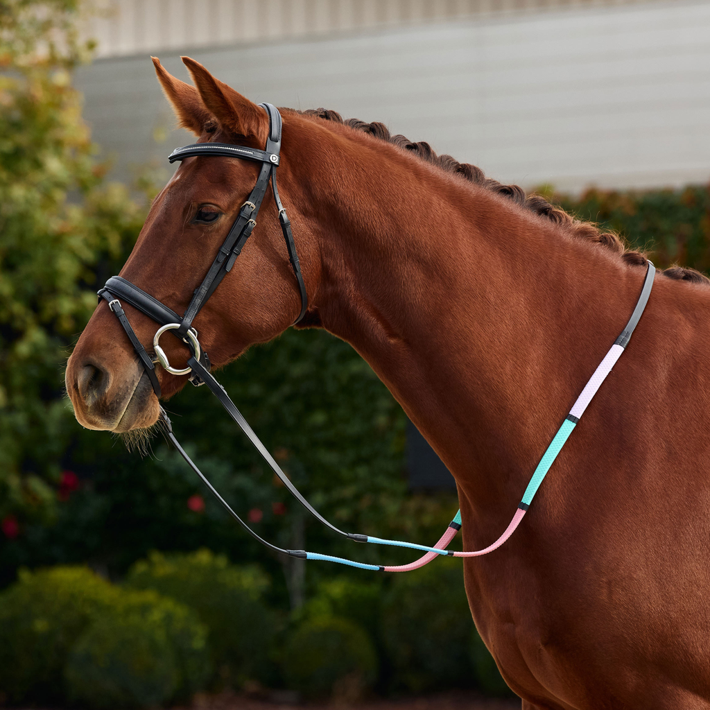 Dublin Pastel Rainbow Reins - Black/Multi