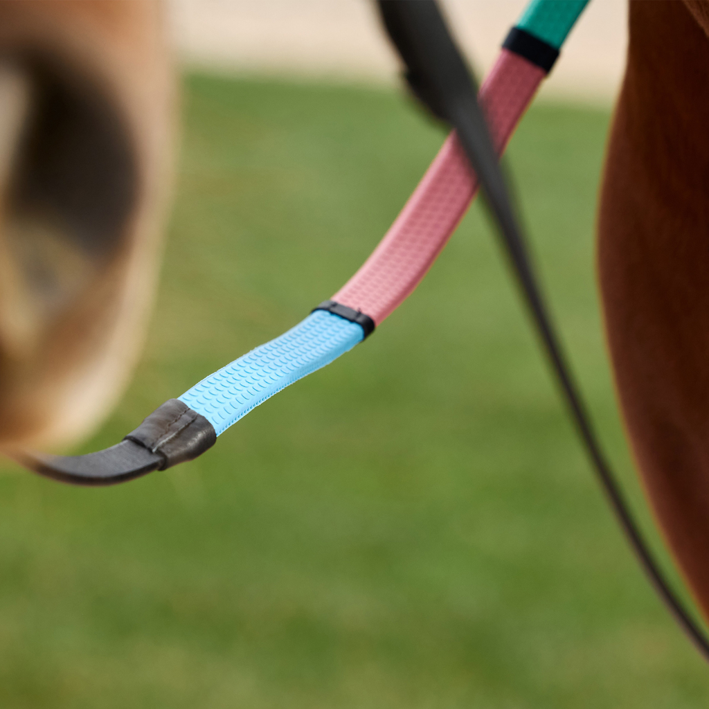 Dublin Pastel Rainbow Reins - Black/Multi