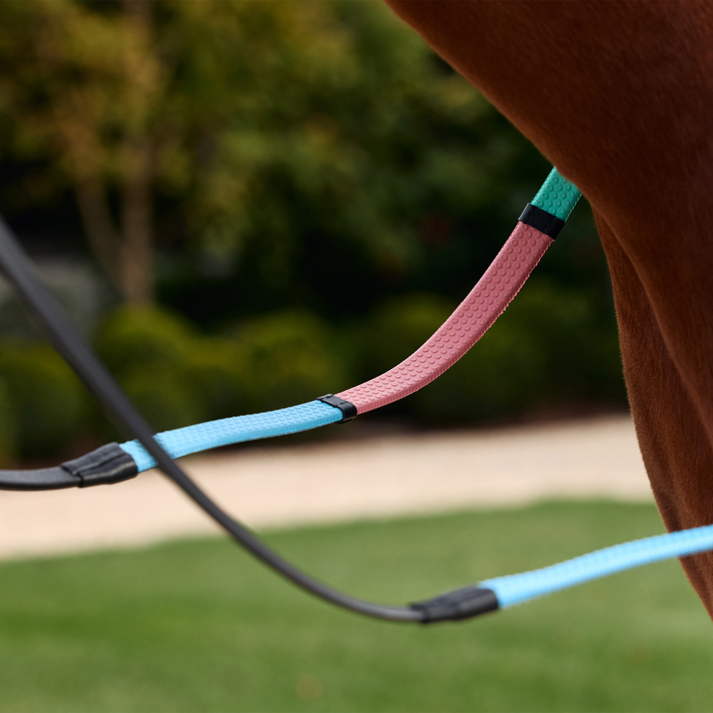 Dublin Pastel Rainbow Reins - Black/Multi