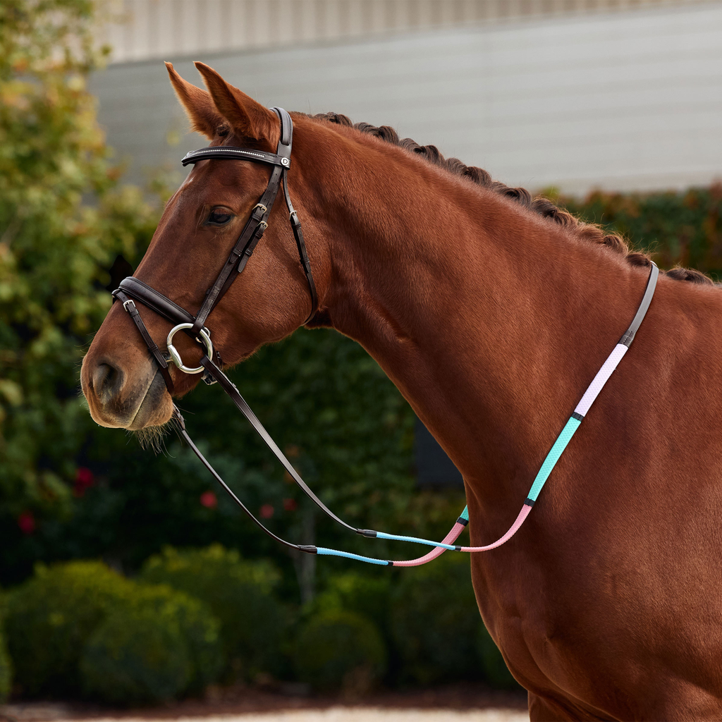 Dublin Pastel Rainbow Reins - Brown/Multi