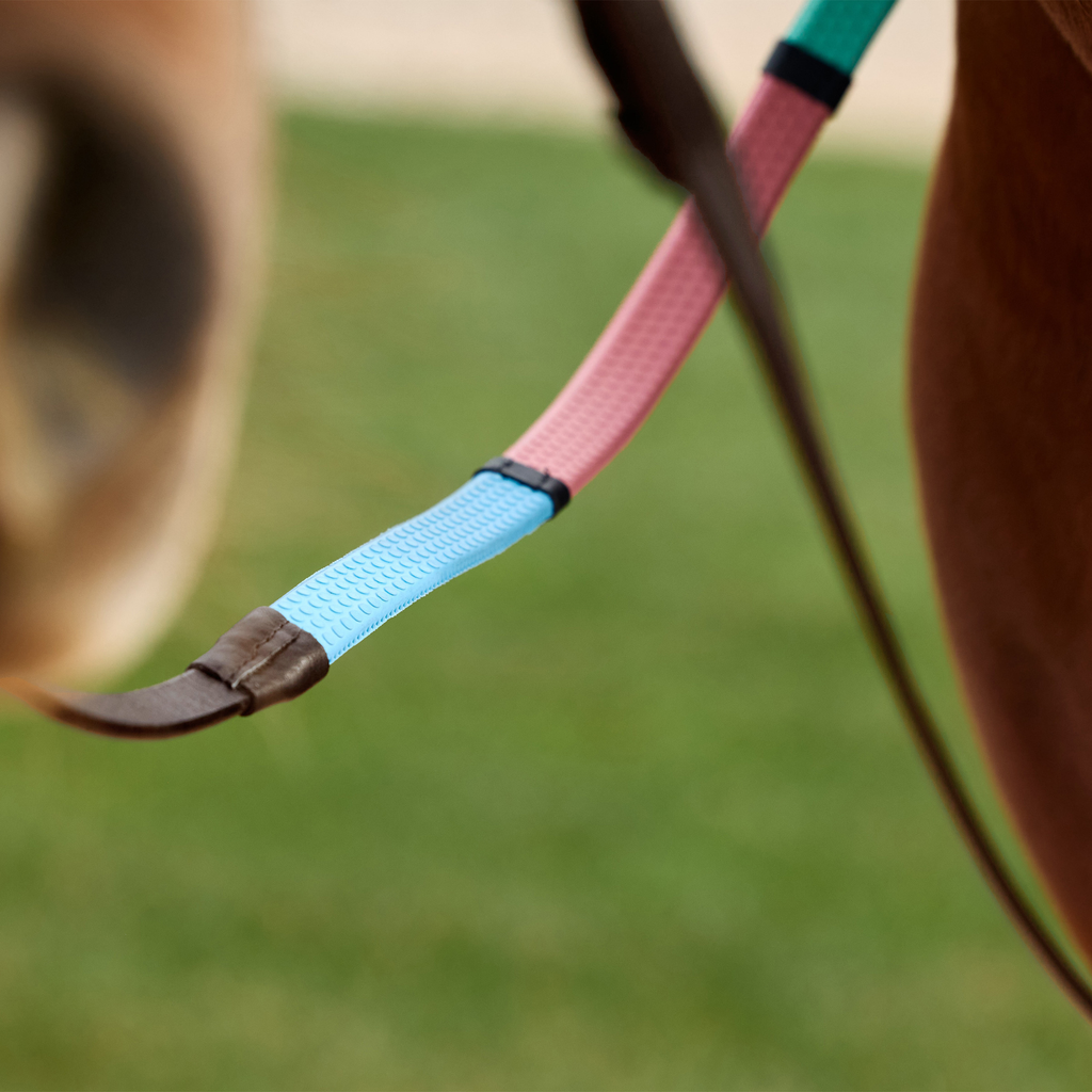 Dublin Pastel Rainbow Reins - Brown/Multi