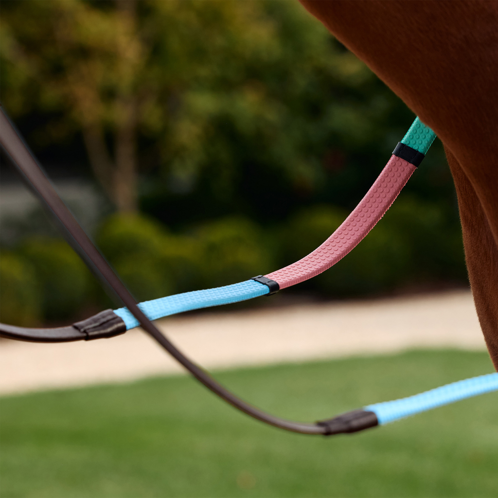 Dublin Pastel Rainbow Reins - Brown/Multi