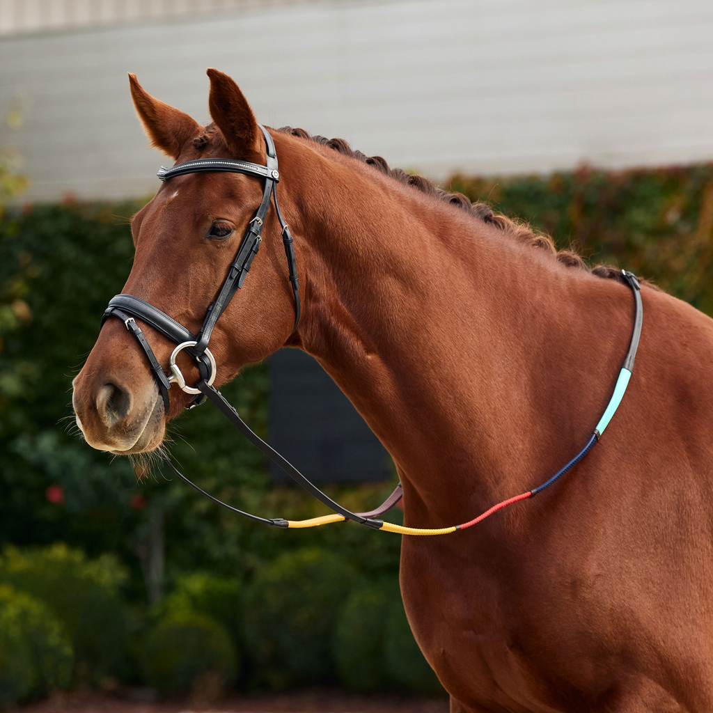 Dublin Rainbow Reins - Black/Multi