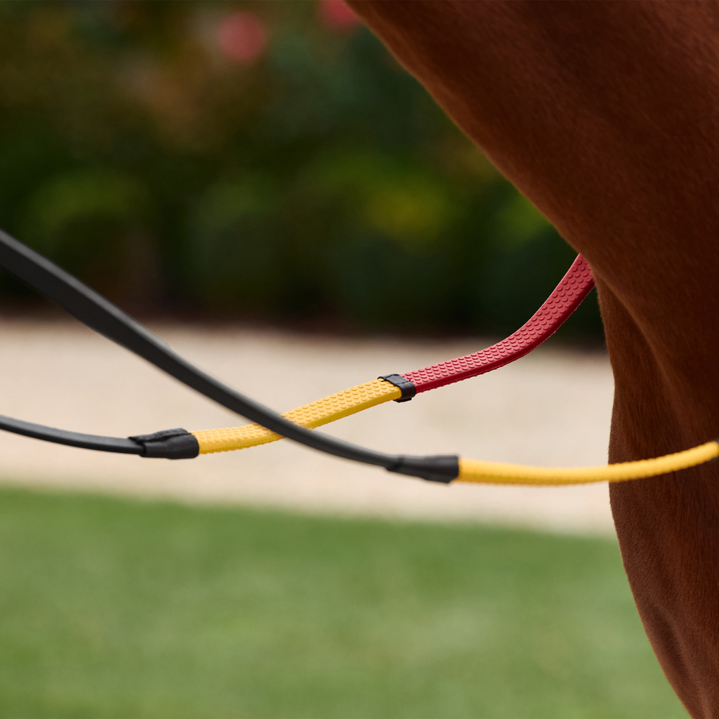 Dublin Rainbow Reins - Black/Multi