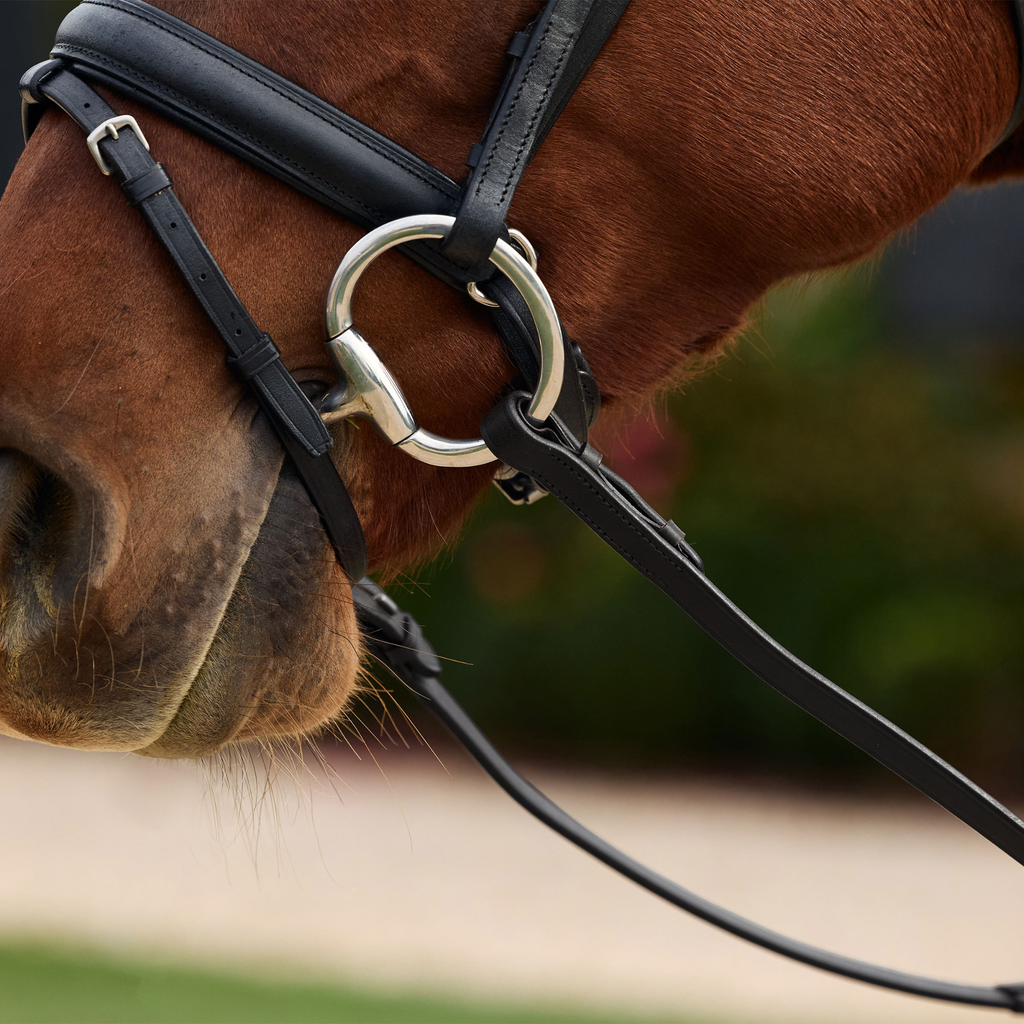 Dublin Rainbow Reins - Black/Multi