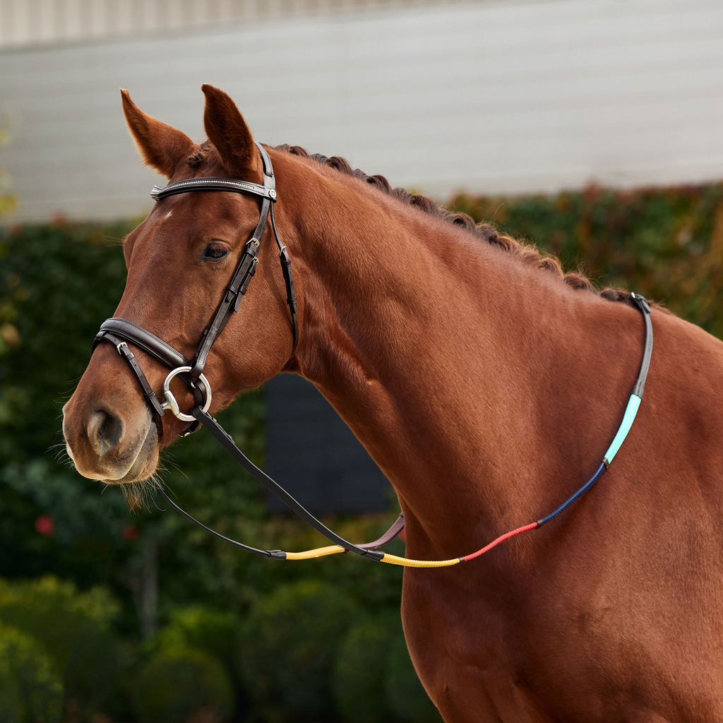 Dublin Rainbow Reins - Brown/Multi