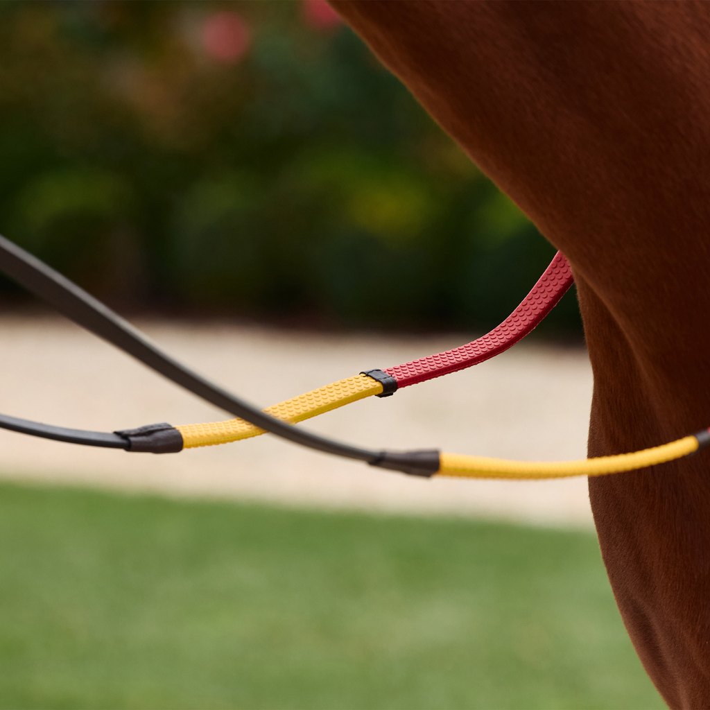 Dublin Rainbow Reins - Brown/Multi